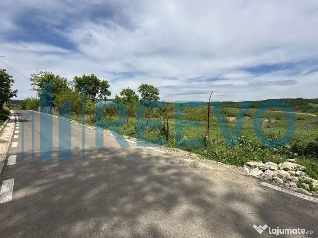 Teren de vânzare, Sat Valea Mare, Com. Roșiori, Bacău