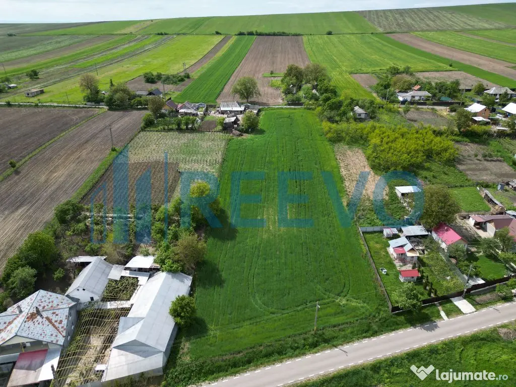 Teren de vânzare, Sat Valea Mare, Com. Roșiori, Bacău