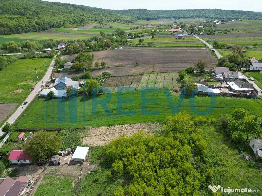 Teren de vânzare, Sat Valea Mare, Com. Roșiori, Bacău