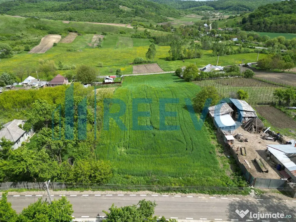 Teren de vânzare, Sat Valea Mare, Com. Roșiori, Bacău