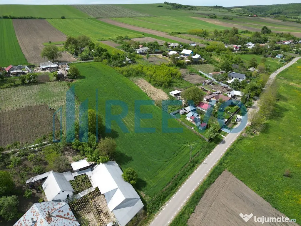 Teren de vânzare, Sat Valea Mare, Com. Roșiori, Bacău