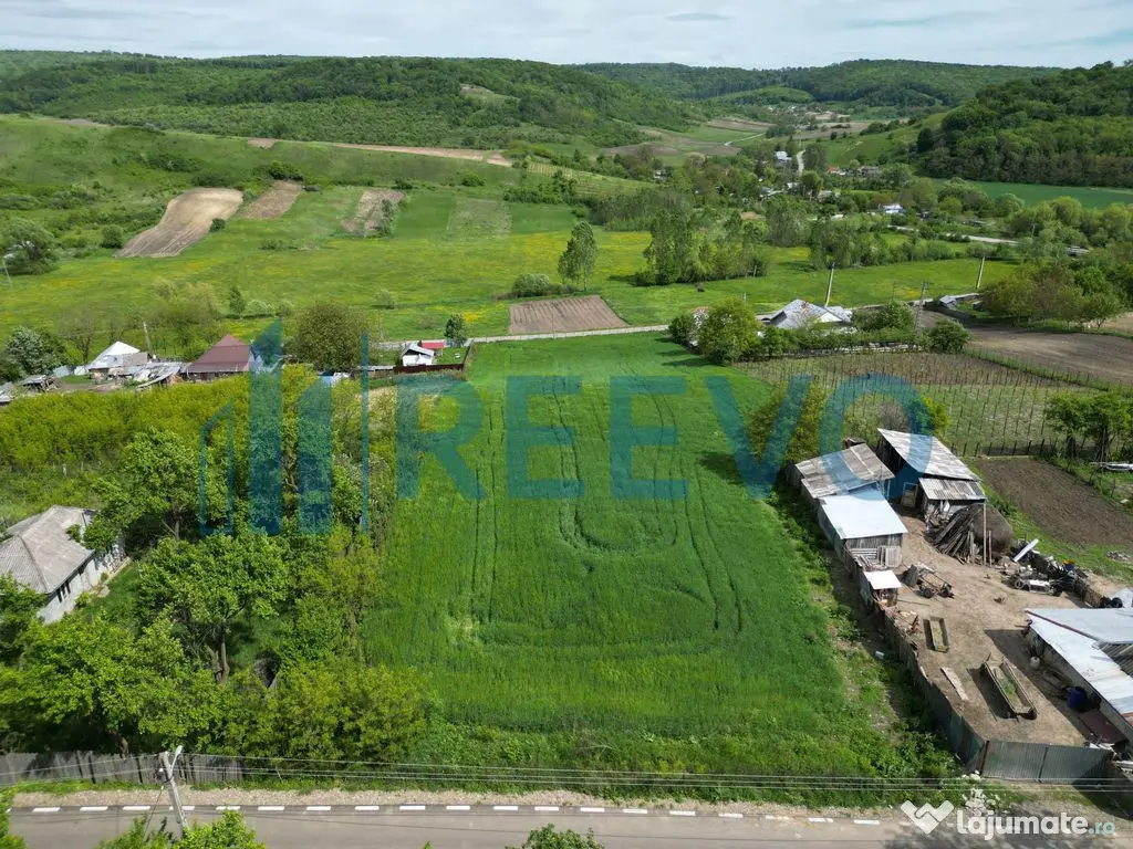 Teren de vânzare, Sat Valea Mare, Com. Roșiori, Bacău