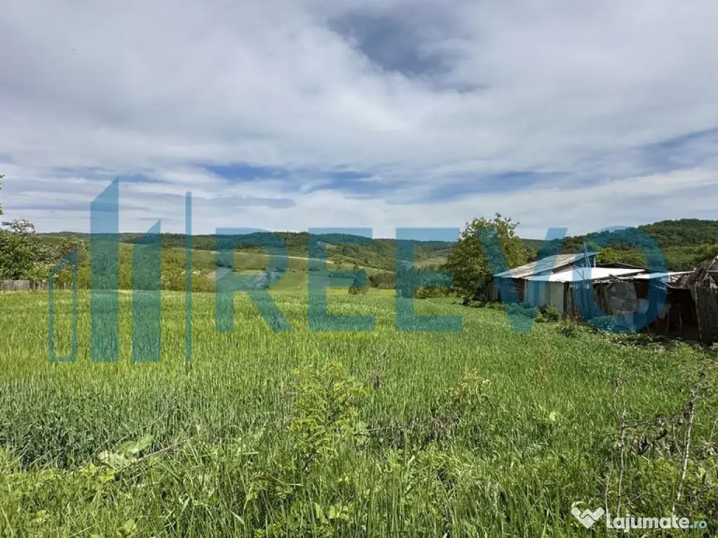 Teren de vânzare, Sat Valea Mare, Com. Roșiori, Bacău