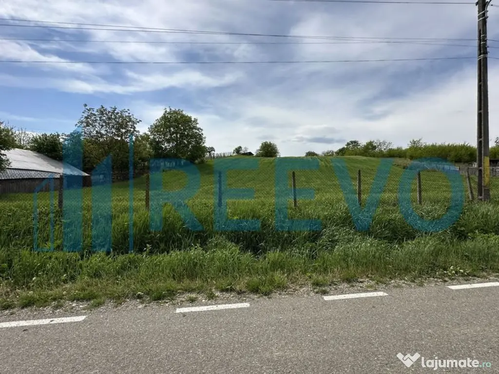 Teren de vânzare, Sat Valea Mare, Com. Roșiori, Bacău