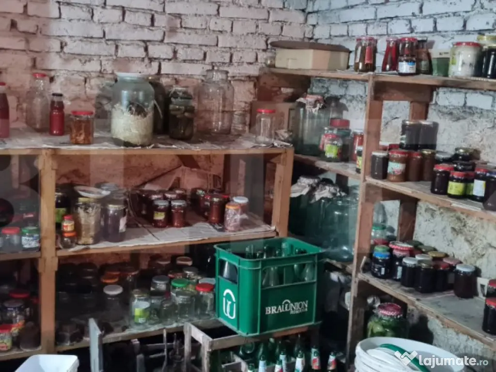 Oportunitate! Casa Bod pe un singur nivel, teren 980 mp pivn