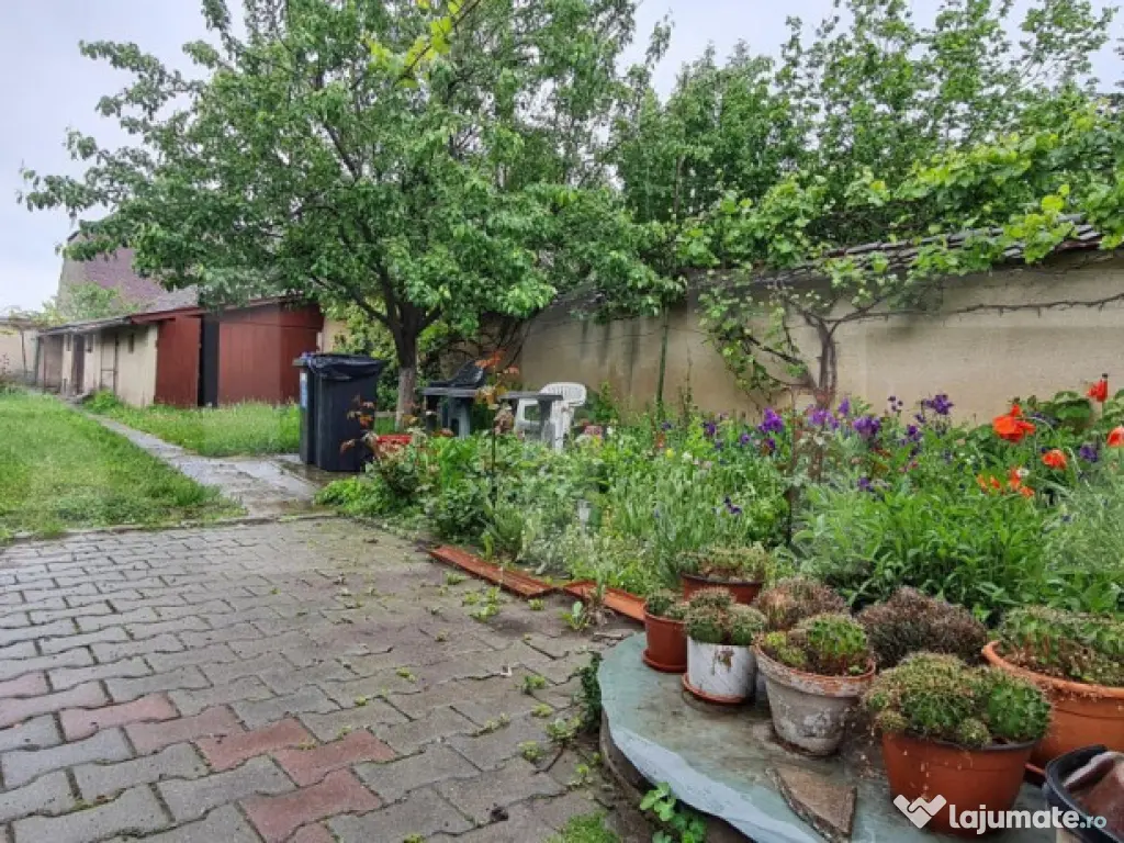 Oportunitate! Casa Bod pe un singur nivel, teren 980 mp pivn