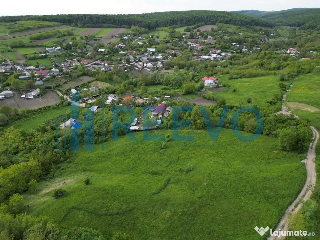 Teren de vânzare, Com. Racova, Str. Bradului, Bacău