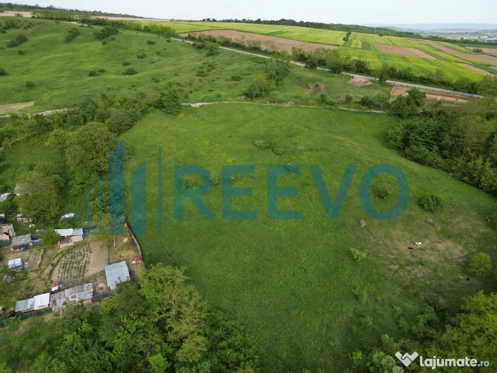 Teren de vânzare, Com. Racova, Str. Bradului, Bacău