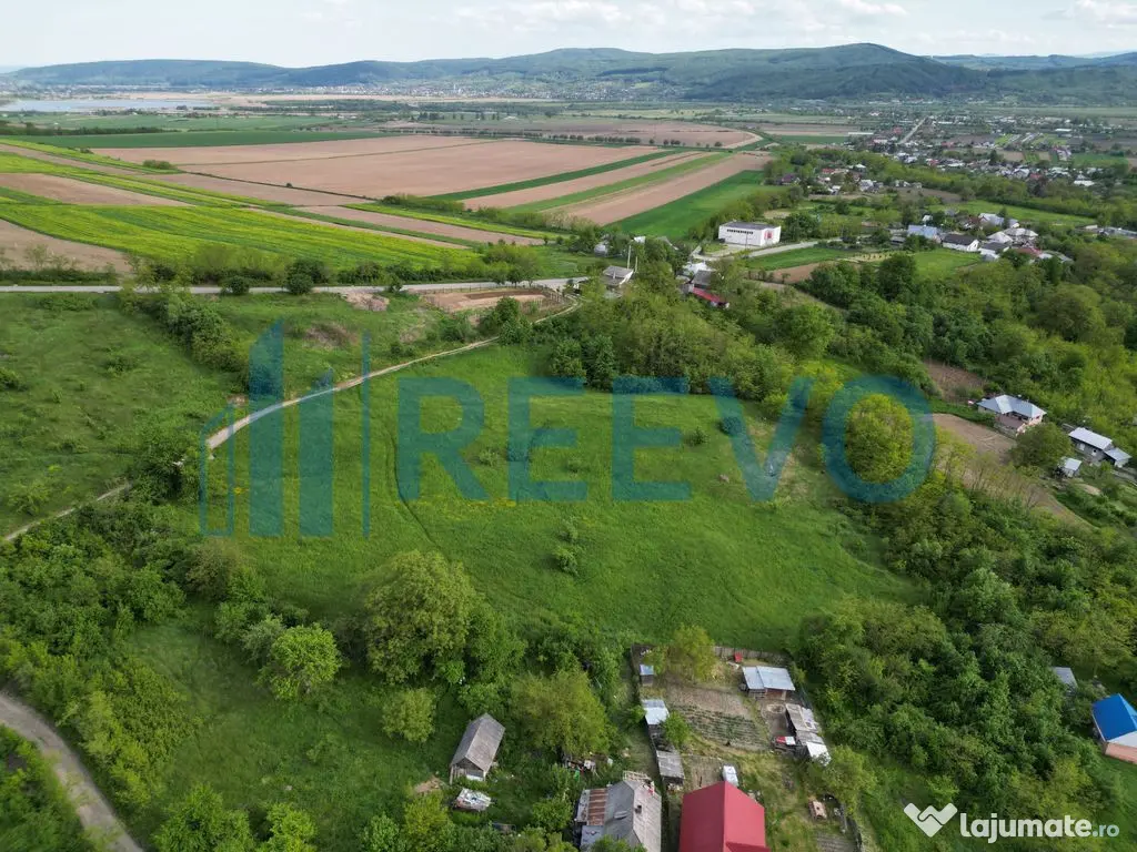 Teren de vânzare, Com. Racova, Str. Bradului, Bacău