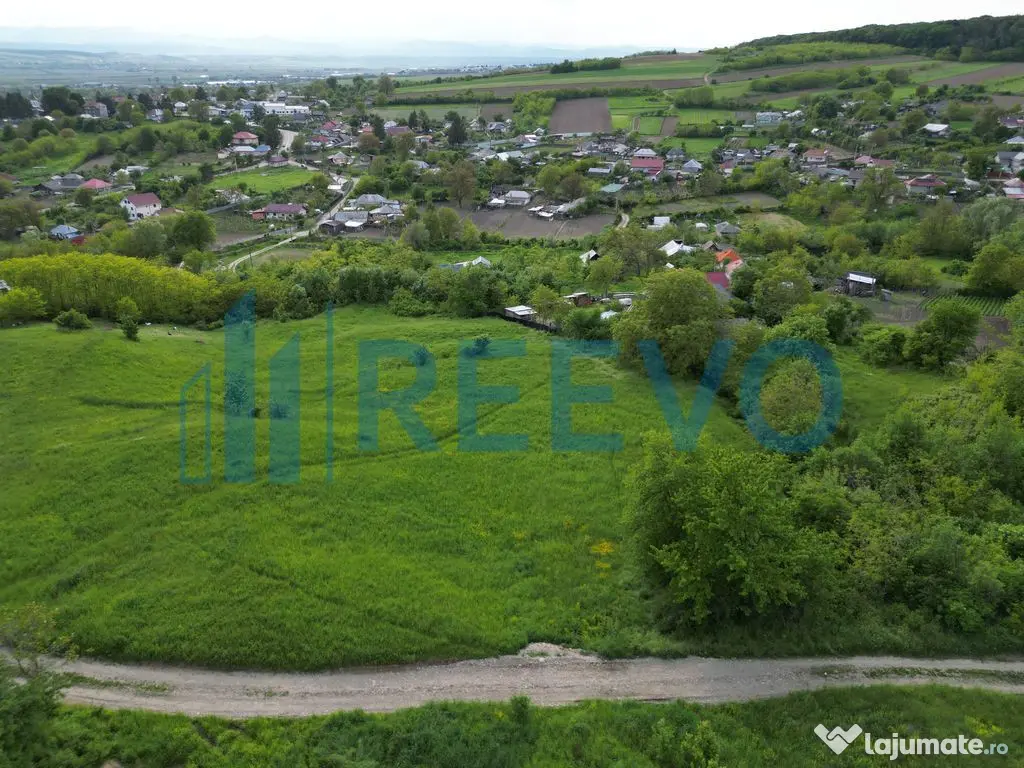 Teren de vânzare, Com. Racova, Str. Bradului, Bacău