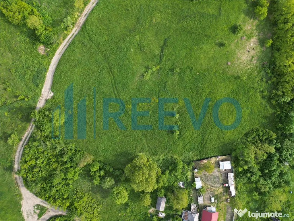 Teren de vânzare, Com. Racova, Str. Bradului, Bacău