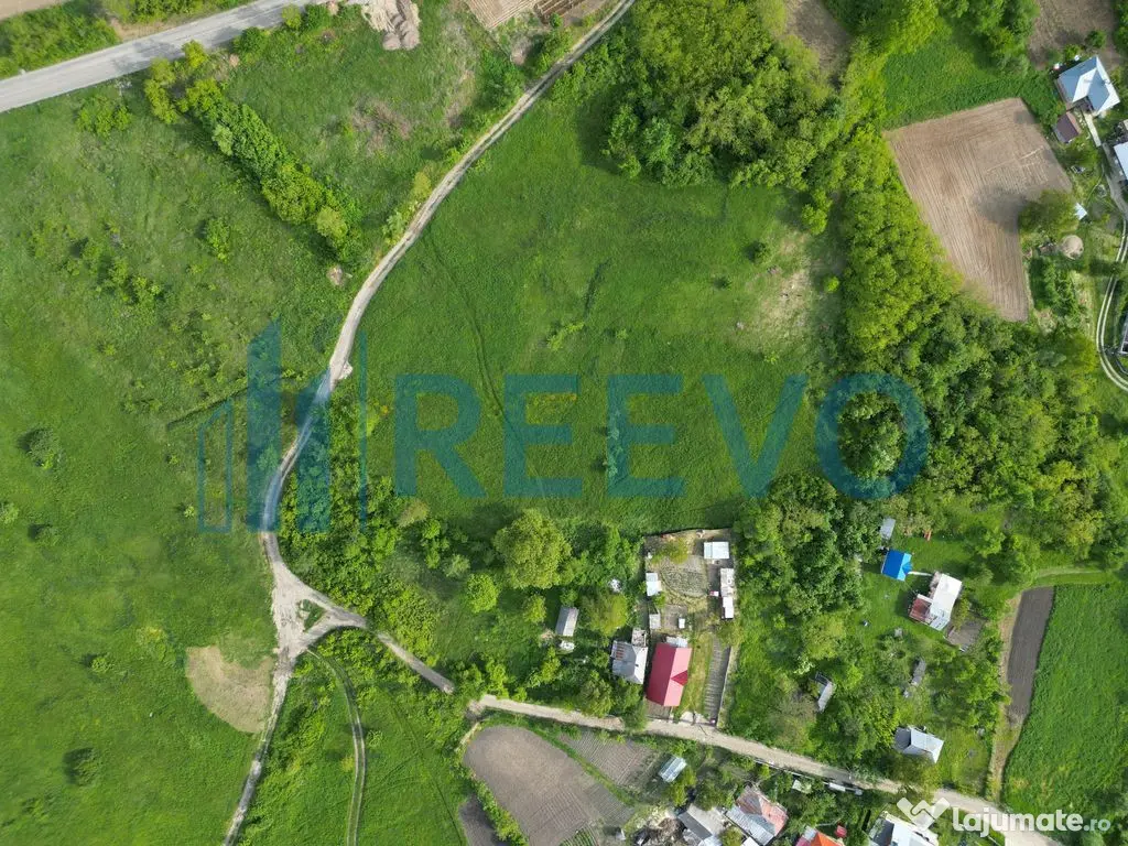 Teren de vânzare, Com. Racova, Str. Bradului, Bacău