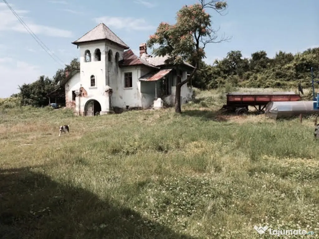 Conac boieresc + teren de 53.000 mp cu vita de vie 