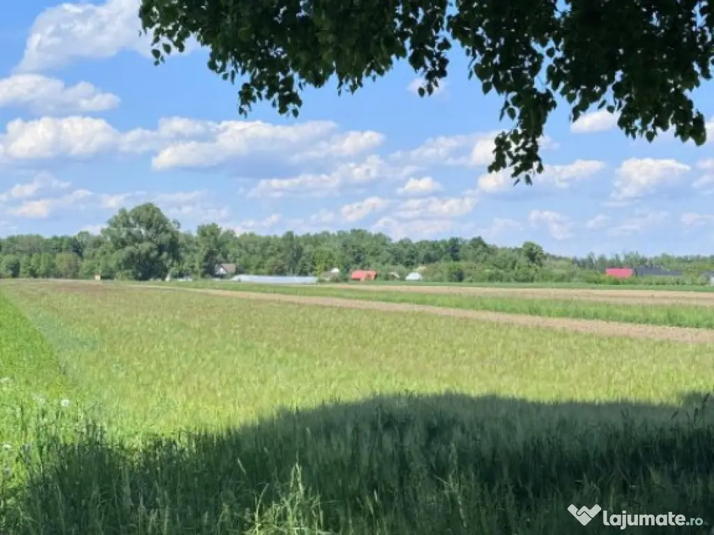 Teren extravilan, 4000mp, Fratautii vechi