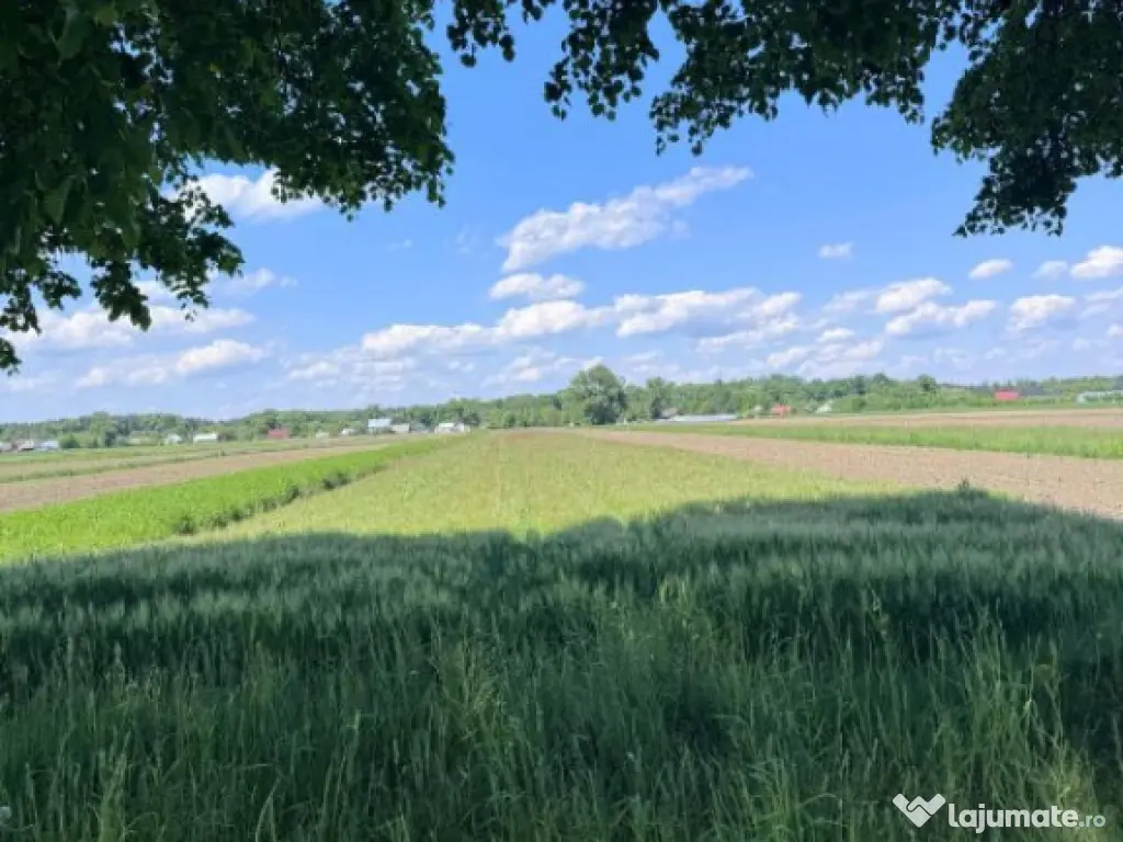 Teren extravilan, 4000mp, Fratautii vechi