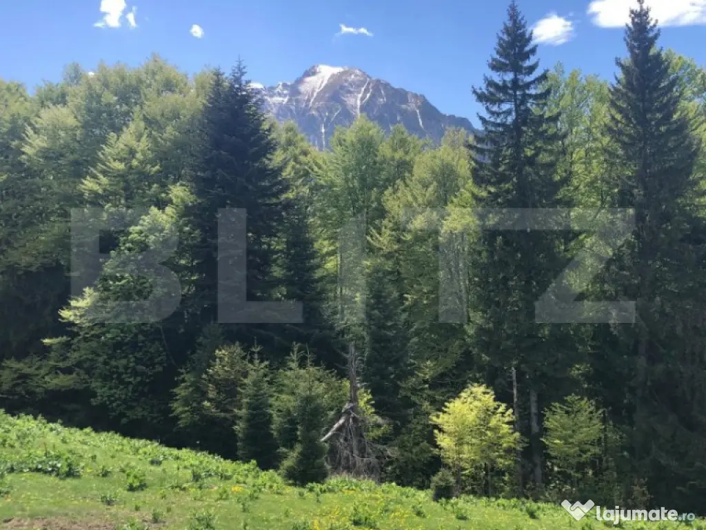 De vanzare, teren intravilan 2100mp, Predeal