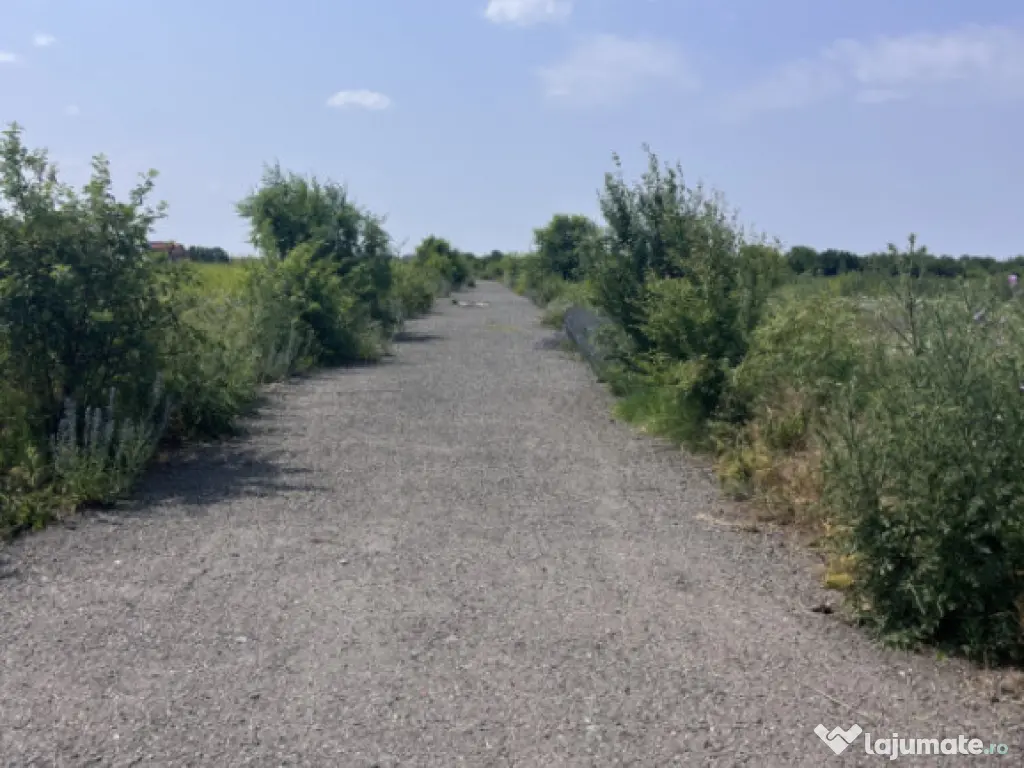 Teren De Vanzare - Oportunitate Investitie - Pretabil Hale/C 