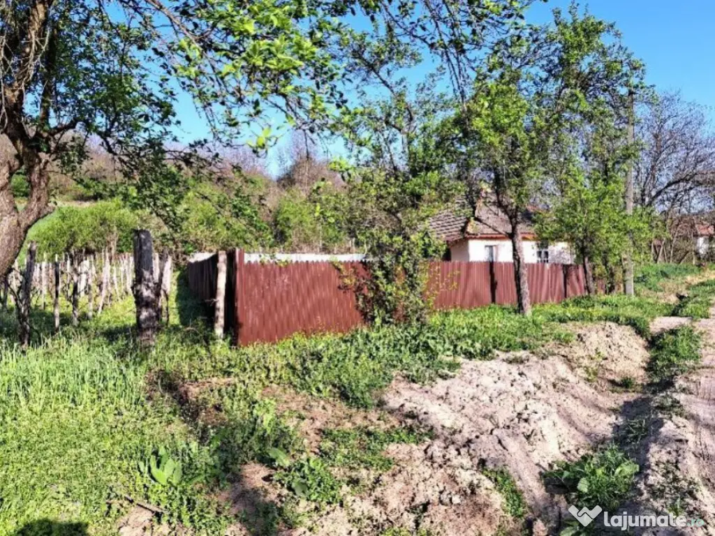Casa si teren-com. Licurici, loc. Negreni, jud Gorj 