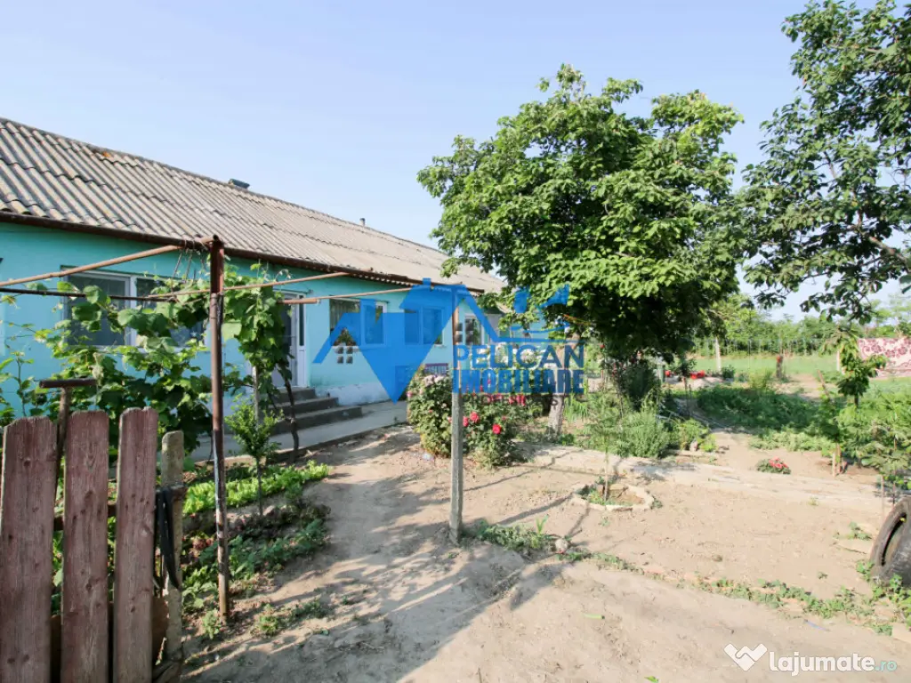 Casa cu teren in Salcioara (Jurilovca) - 2600mp 