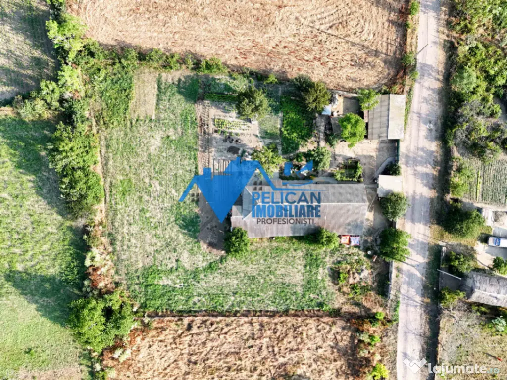 Casa cu teren in Salcioara (Jurilovca) - 2600mp 