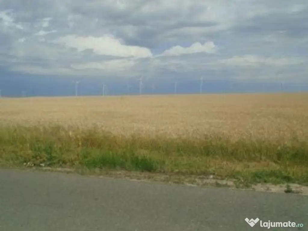 Teren Extravilan Corni, Cota parte 1/2, ID: R2581783 