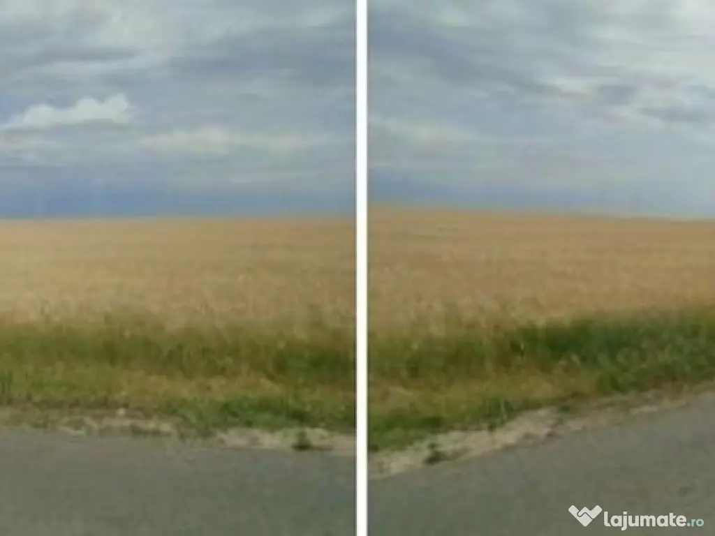 Teren Extravilan Corni, Cota parte 1/2, ID: R2581783 