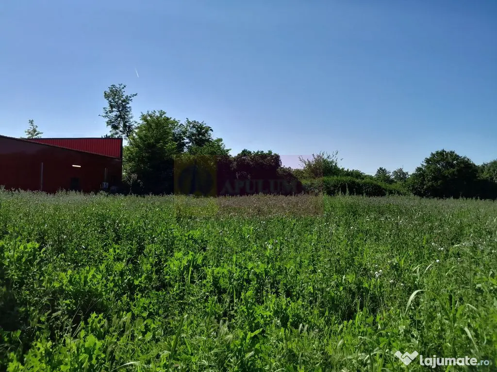 Movilita (IL)-teren de inch. 1800 mp stradal, 30 ml desch... 