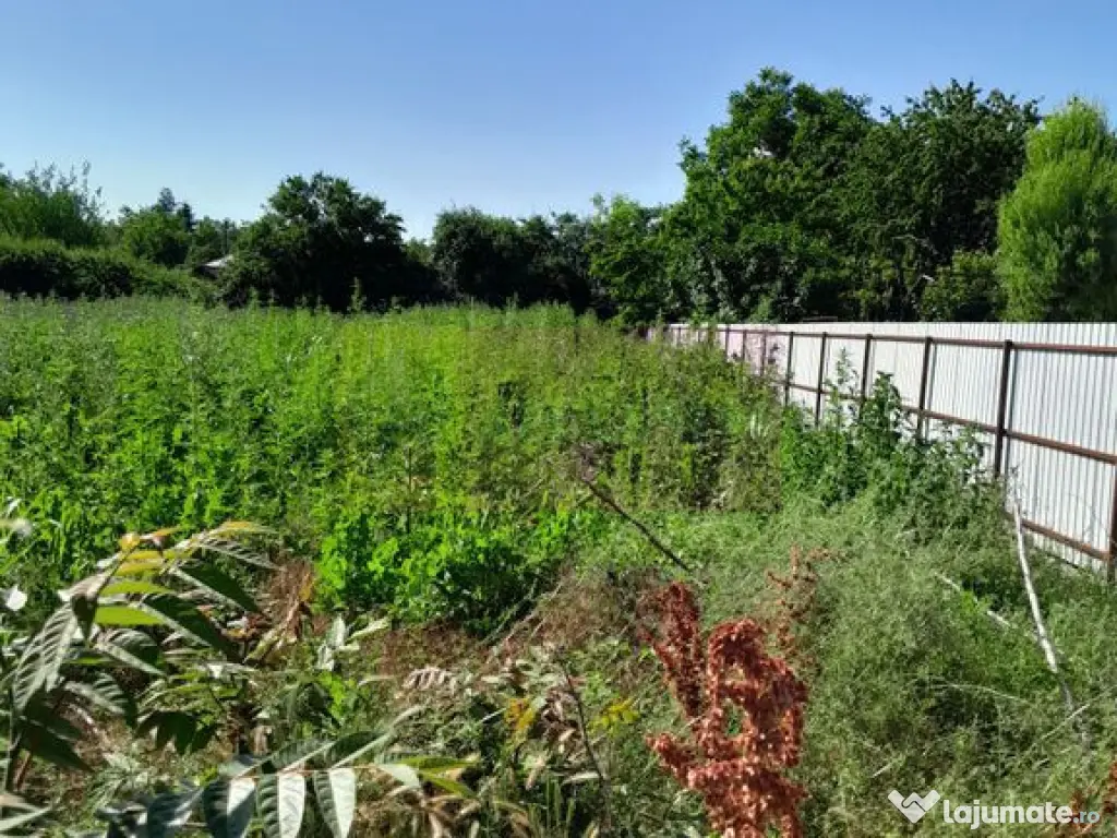 Movilita (IL)-teren de inch. 1800 mp stradal, 30 ml desch... 