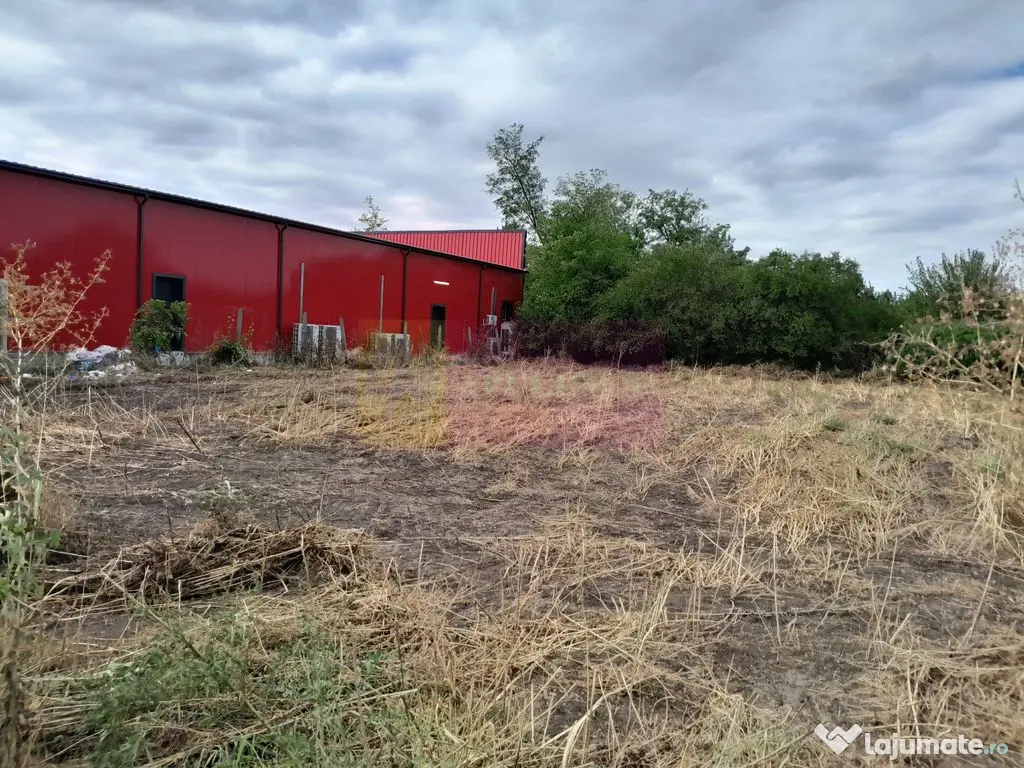 Movilita (IL)-teren de inch. 1800 mp stradal, 30 ml desch... 