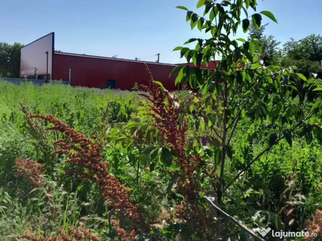 Movilita (IL)-teren de inch. 1800 mp stradal, 30 ml desch... 