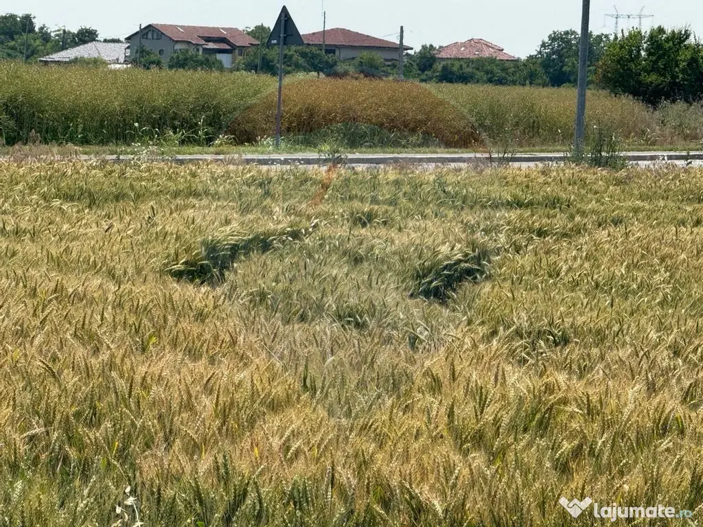 Vanzare Teren pentru dezvoltare mixta acces A0, Vadul Ane... 