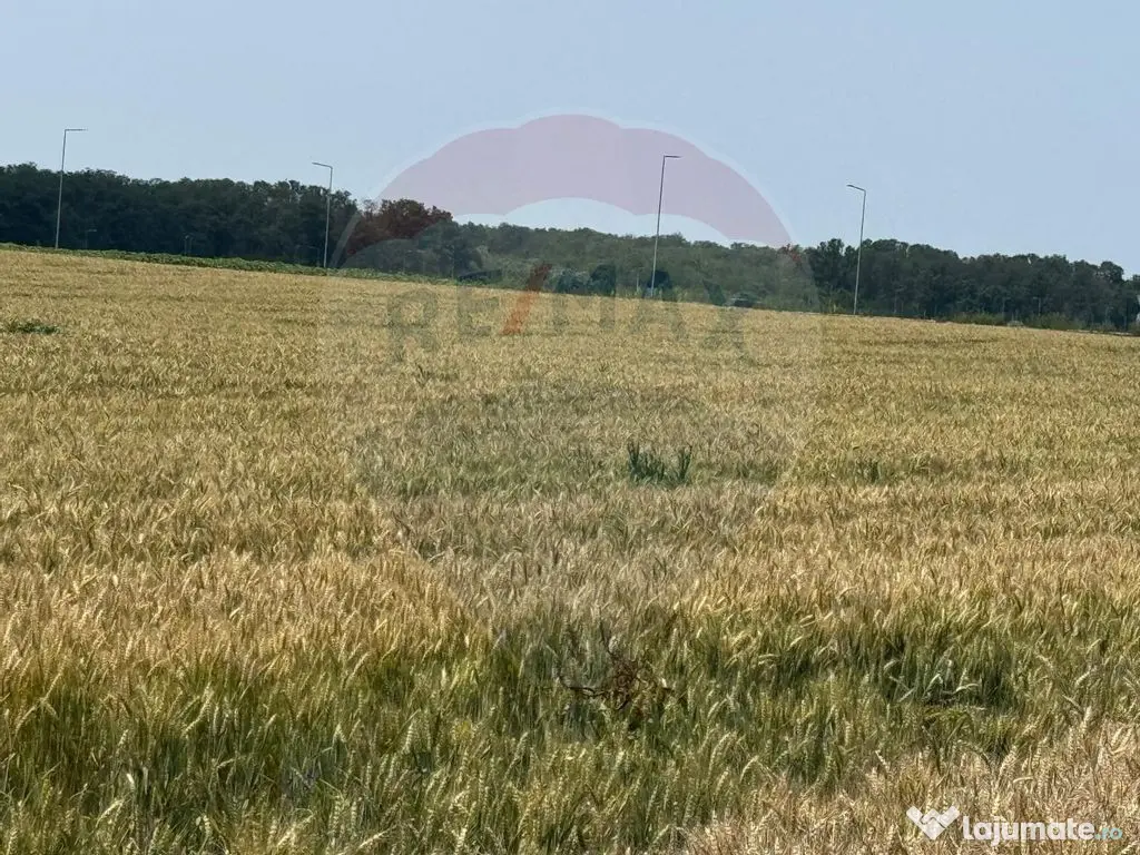 Vanzare Teren pentru dezvoltare mixta acces A0, Vadul Ane... 