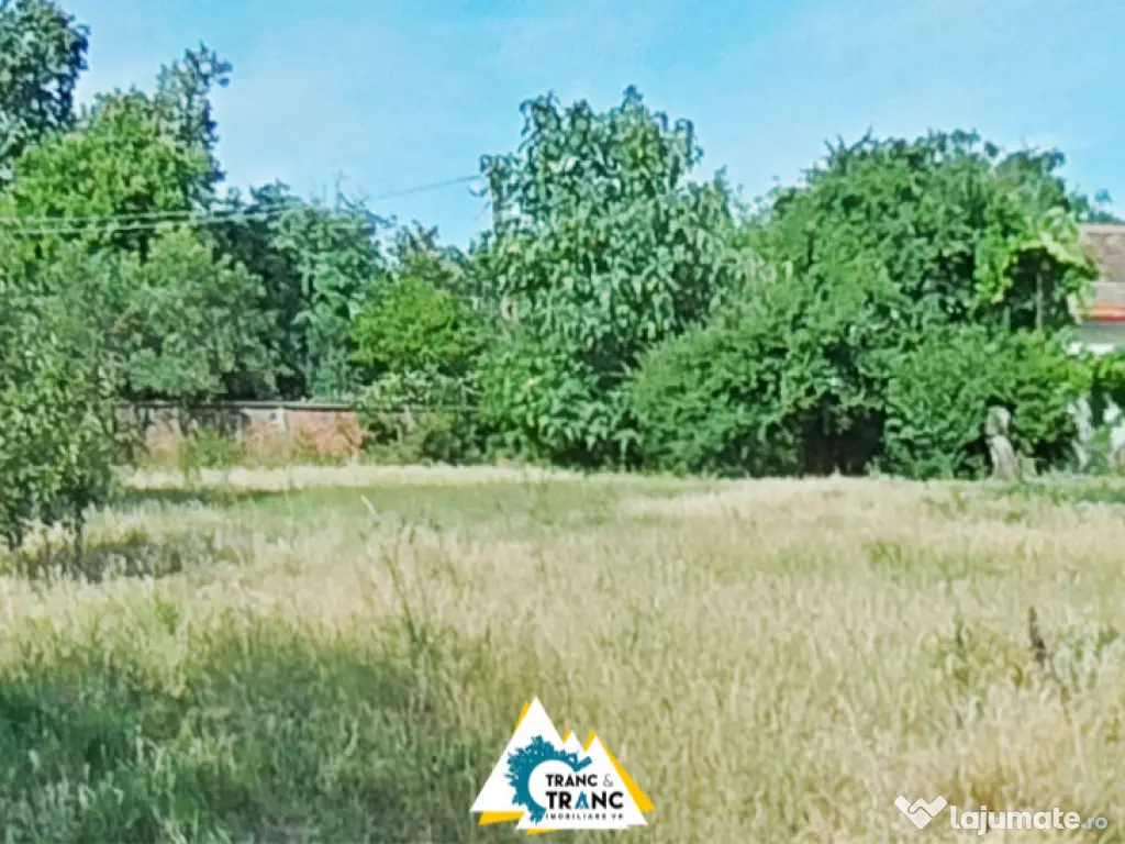 Casă spațioasă cu 4 camere de vânzare – Comuna Aluniș, județul Arad 