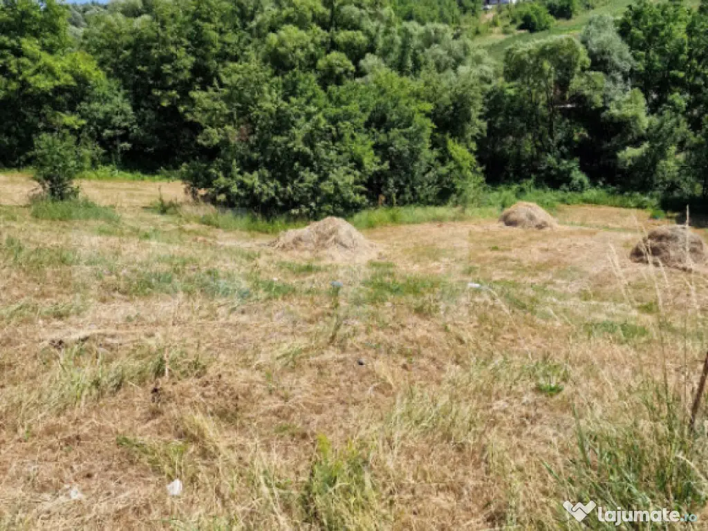 Teren intravilan, ideal constructie casa, 12 ari in zona Va