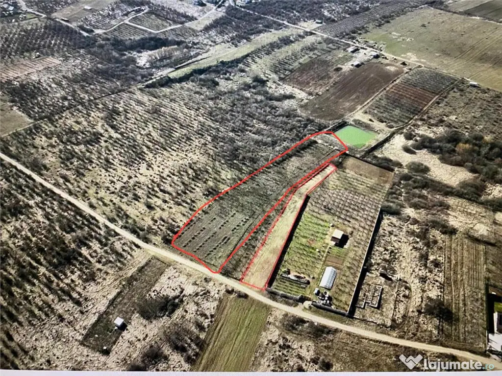 RECO Teren intravilan in Paleu 6178mp