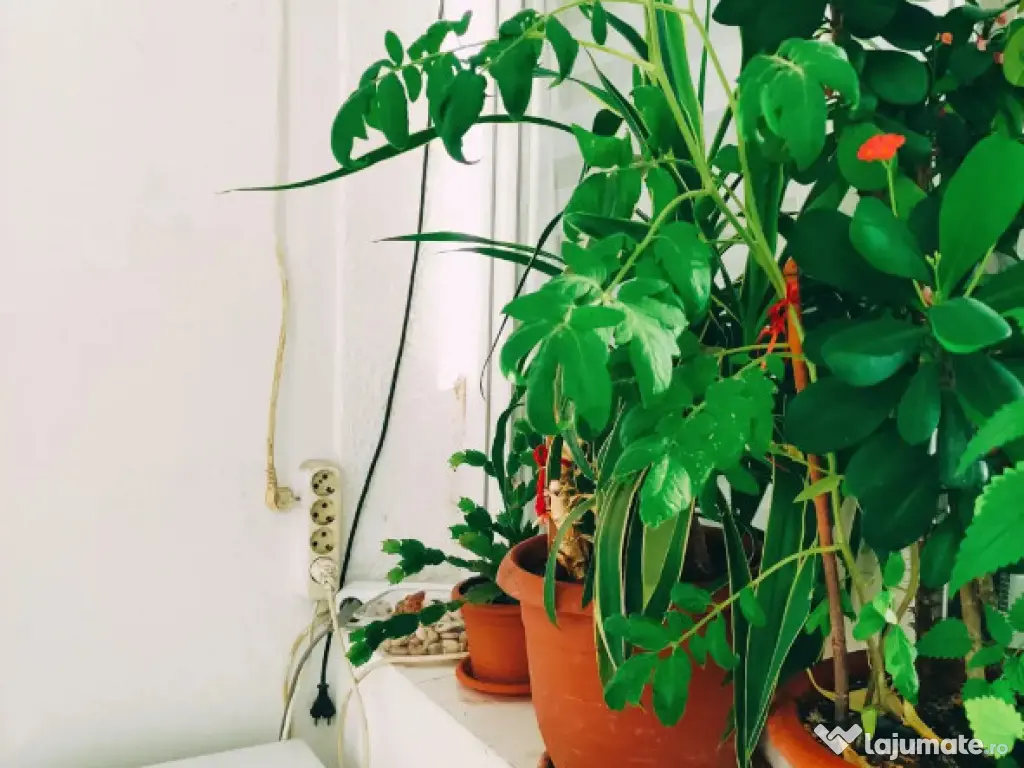 Apartament 2 camere, Brancoveanu, Stoian Militaru! 