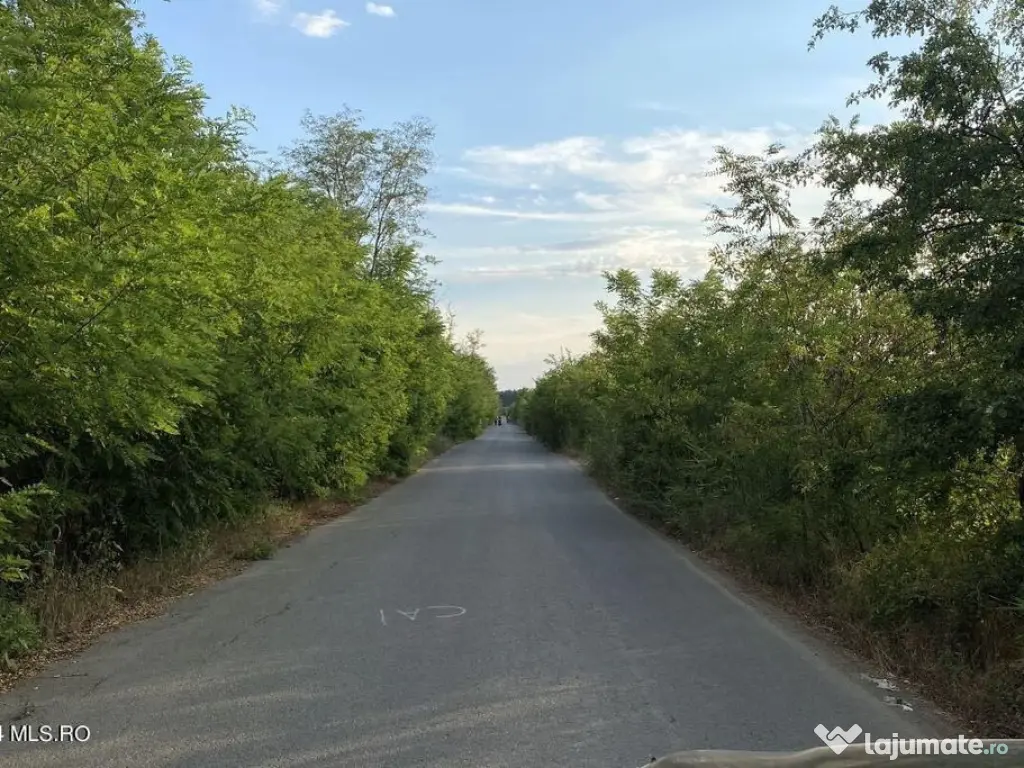 Corbeanca - Tamasi, intravilan, 16562 mp, deschidere 93 m... 