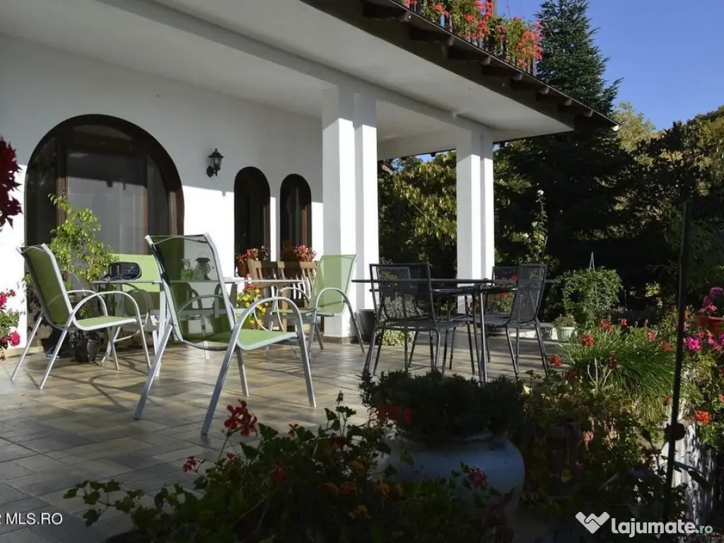 Topoloveni - Conacul Ion Mihalache, Domeniu pe 5 Hectare 