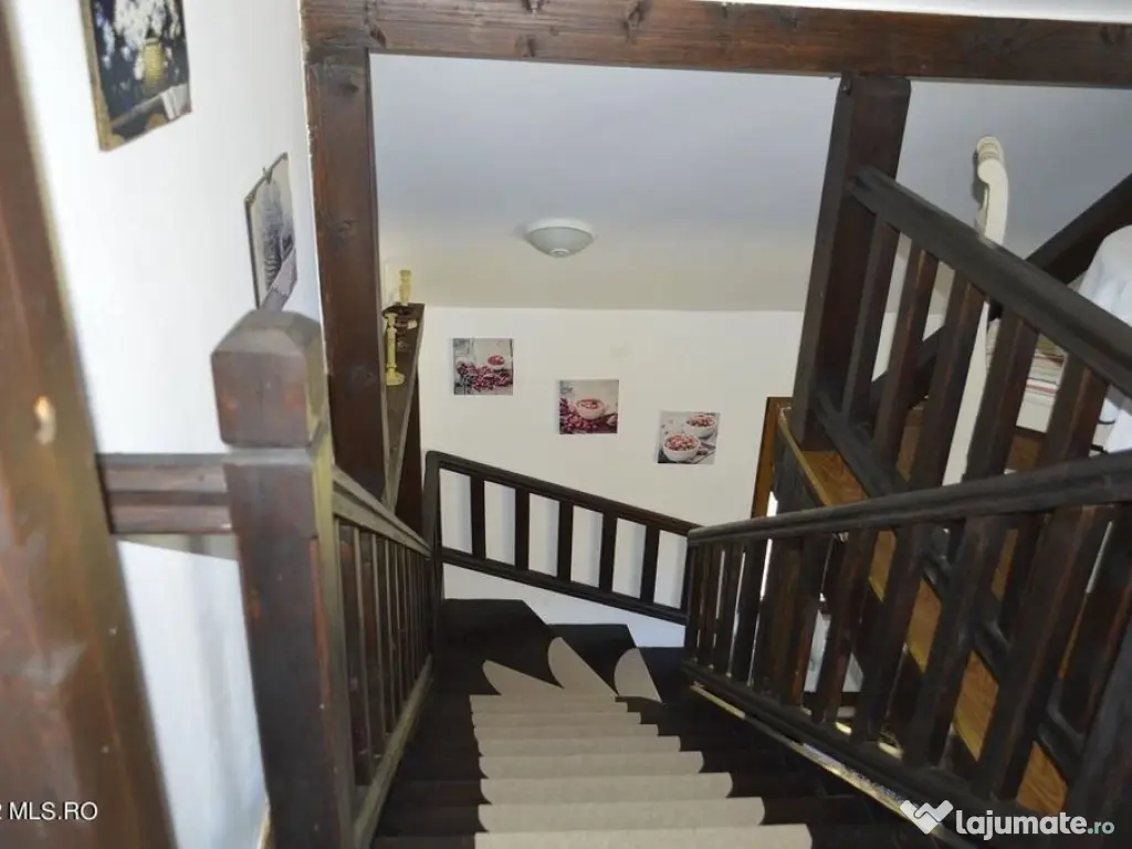 Topoloveni - Conacul Ion Mihalache, Domeniu pe 5 Hectare 