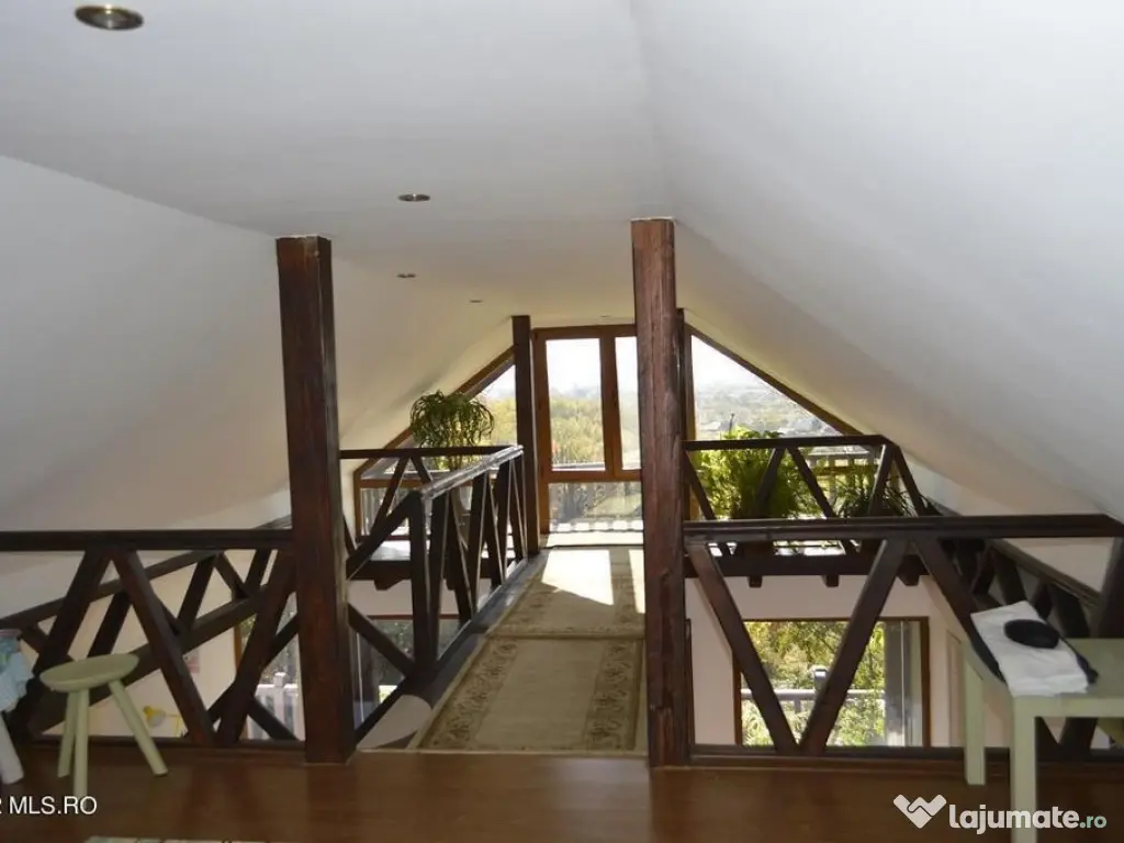 Topoloveni - Conacul Ion Mihalache, Domeniu pe 5 Hectare 