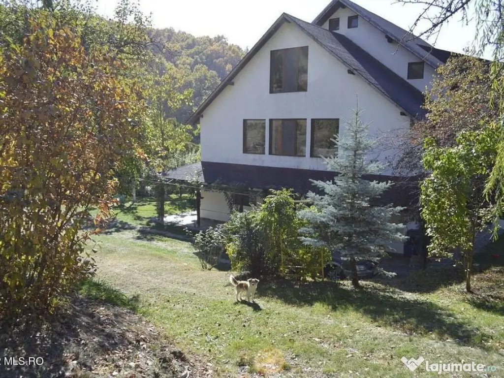 Topoloveni - Conacul Ion Mihalache, Domeniu pe 5 Hectare 