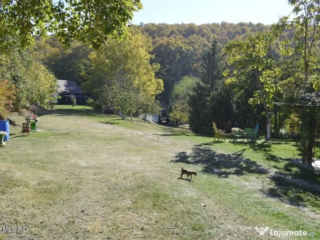 Topoloveni - Conacul Ion Mihalache, Domeniu pe 5 Hectare 