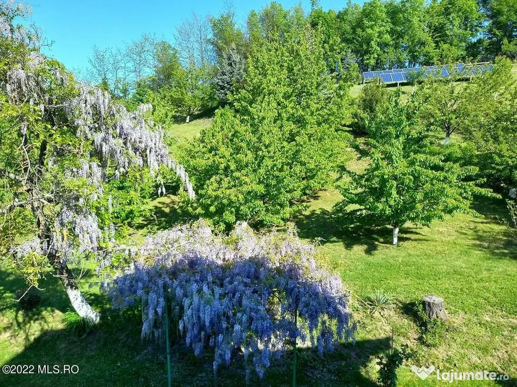 Topoloveni - Conacul Ion Mihalache, Domeniu pe 5 Hectare 