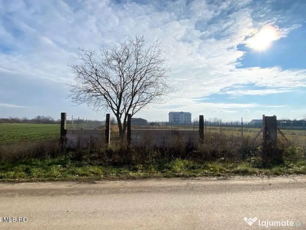 Afumati - Str. Iasomiei, 2409 MP, stradal, intravilan, de... 