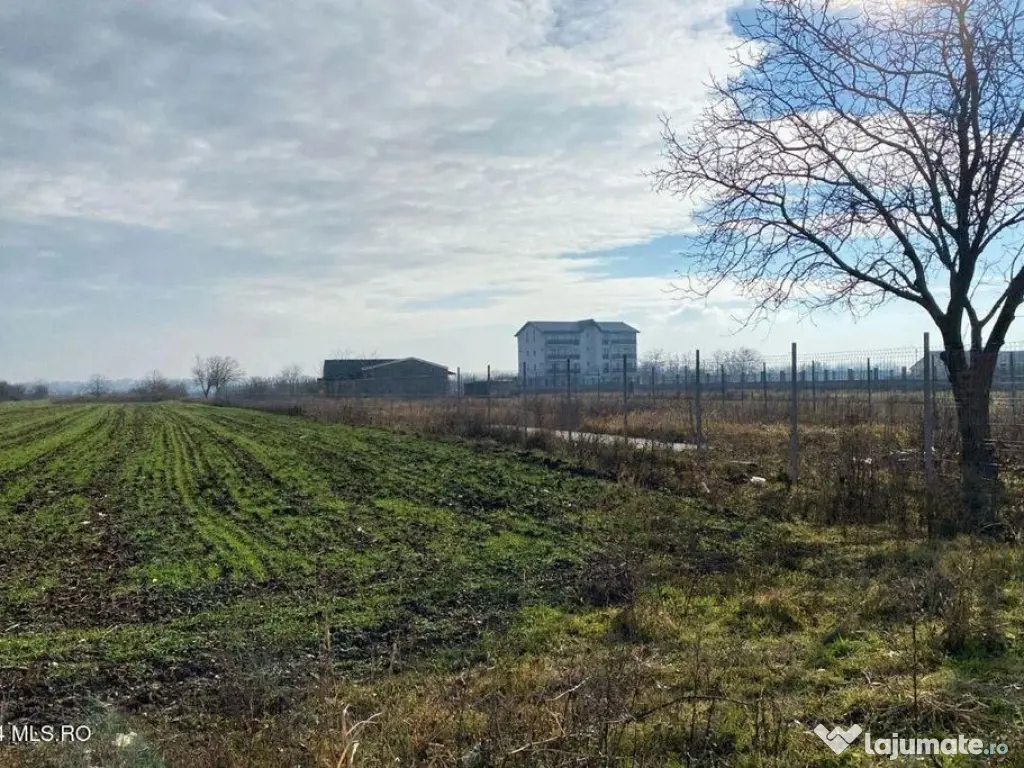 Afumati - Str. Iasomiei, 2409 MP, stradal, intravilan, de... 