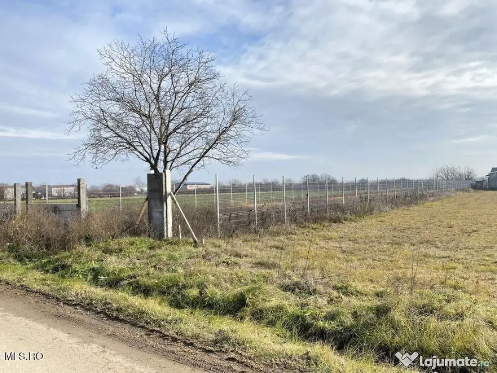 Afumati - Str. Iasomiei, 2409 MP, stradal, intravilan, de... 