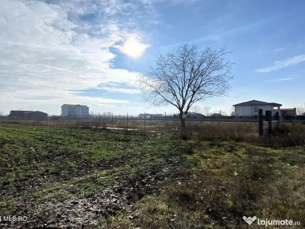 Afumati - Str. Iasomiei, 2409 MP, stradal, intravilan, de... 