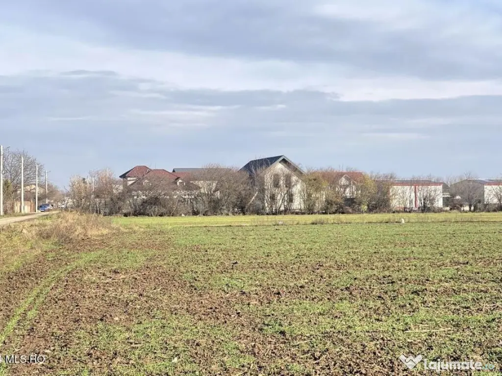 Afumati - Str. Iasomiei, 2409 MP, stradal, intravilan, de... 