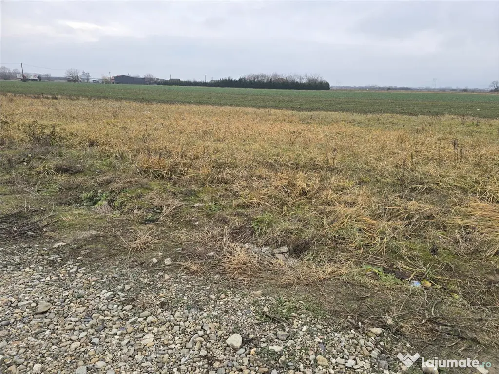 RECO Teren pentru loc de casa cu PUZ Osorhei-Fughiu