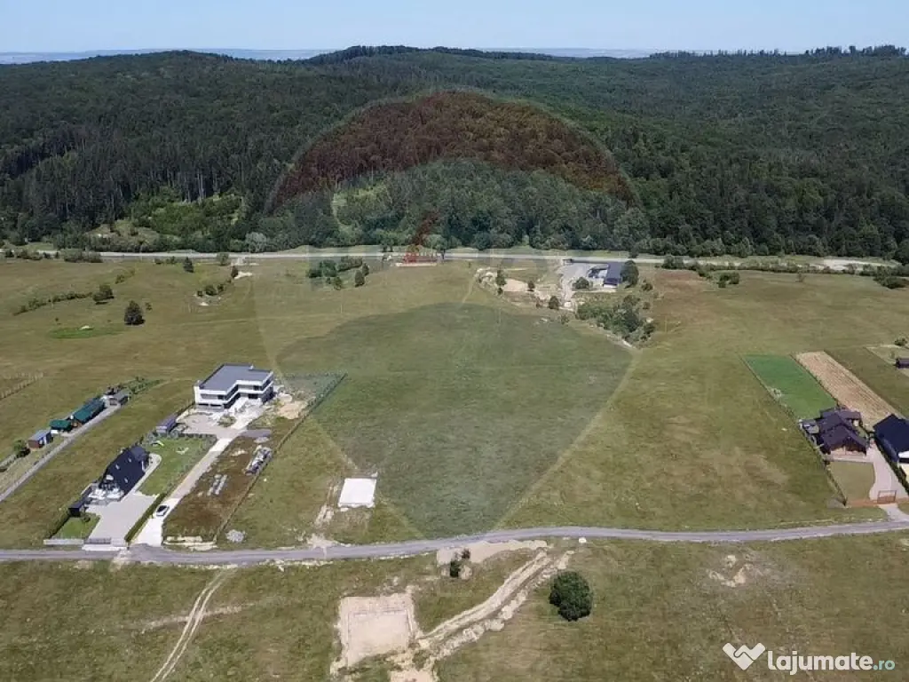 Teren 3,757mp Paltinoasa / Strada principala 